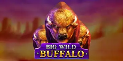 Big Wild Buffalo